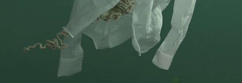 An Interview with Joanna Klink